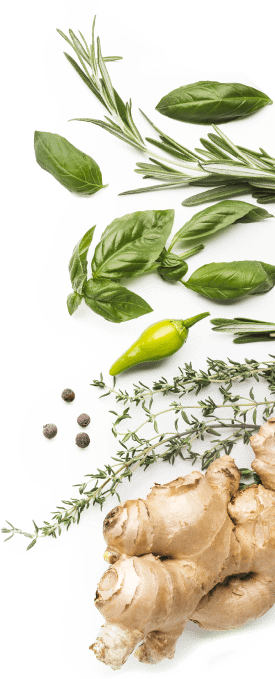 Freshload International