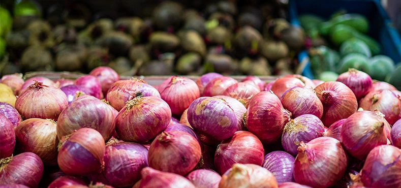 Fresh Onion Imports