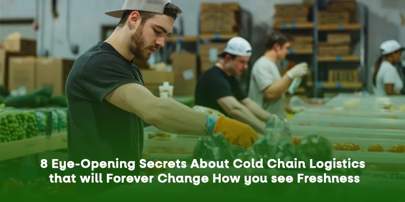 8 Secrets of Cold Chain Logistics That Redefine Freshness