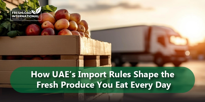 How UAE’s Import Rules Shape the Fresh Produce You Eat Every Day