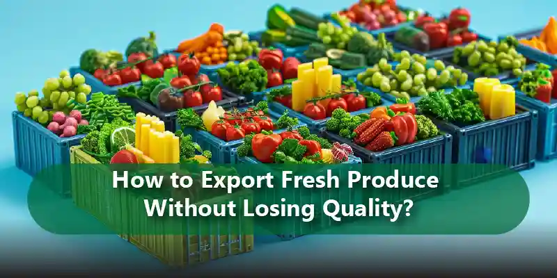 How to Export Fresh Produce Without Losing Quality?