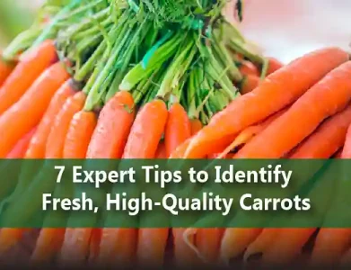 7 Expert Tips to Identify Fresh, High-Quality Carrots