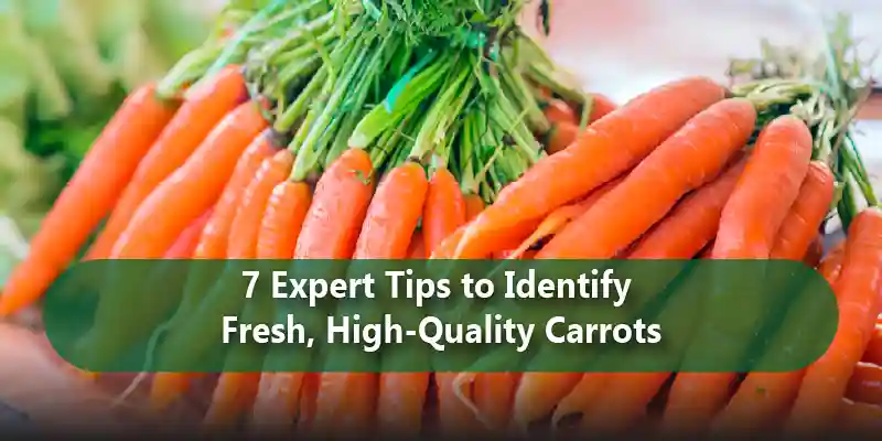 7 Expert Tips to Identify Fresh, High-Quality Carrots