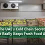 The UAEs Cold Chain Secret What Really Keeps Fresh Food Alive 1 90x90