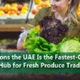 10 Reasons the UAE Is the Fastest Growing Hub for Fresh Produce Trade_11zon 90x90